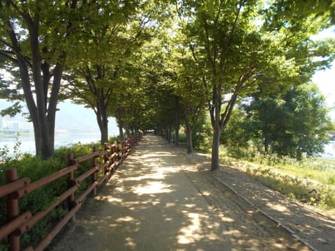 하남위례길2코스(위례강변길우회) 사진 6