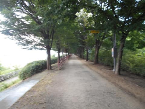 하남위례길2코스(위례강변길우회) 사진 8