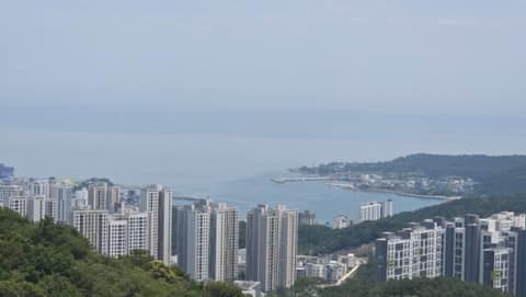 일광산테마임도 사진 1