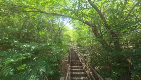 일광산테마임도 사진 2