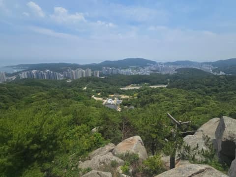 일광산테마임도 사진 3