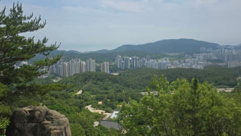 일광산테마임도 사진 5