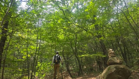 일광산테마임도 사진 7