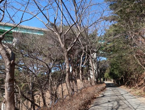 일광산테마임도 사진 10