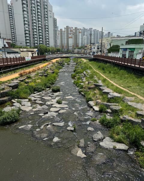 산호천꽃길 사진 1