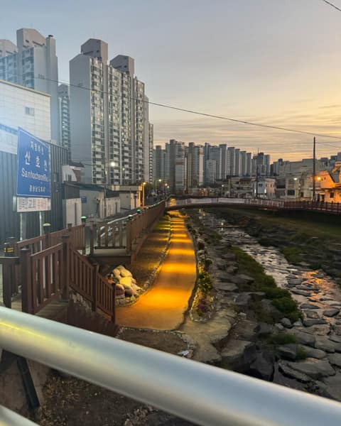 산호천꽃길 사진 3