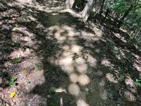 순천봉화산둘레길4코스 사진 5