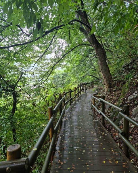 가야산소리길(해인사소리길) 사진 2