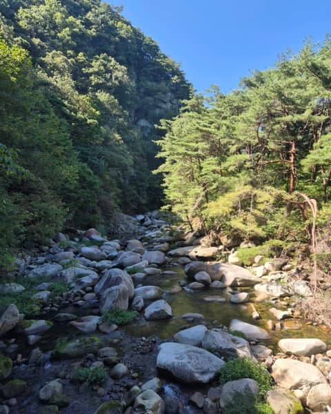 가야산소리길(해인사소리길) 사진 3