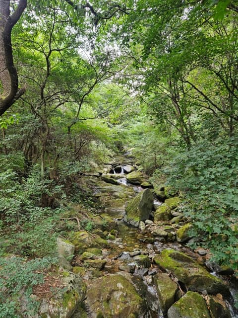 치악산둘레길2코스(구룡길) 사진 2