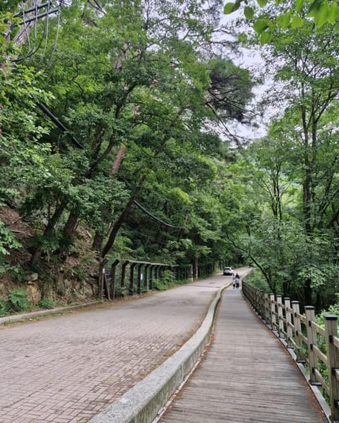 치악산둘레길2코스(구룡길) 사진 7