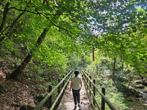 치악산둘레길2코스(구룡길) 사진 9