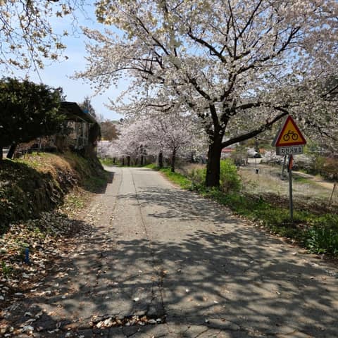 경기둘레길파주7코스 사진 3