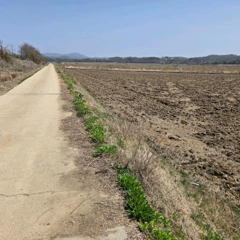 경기둘레길파주7코스 사진 4
