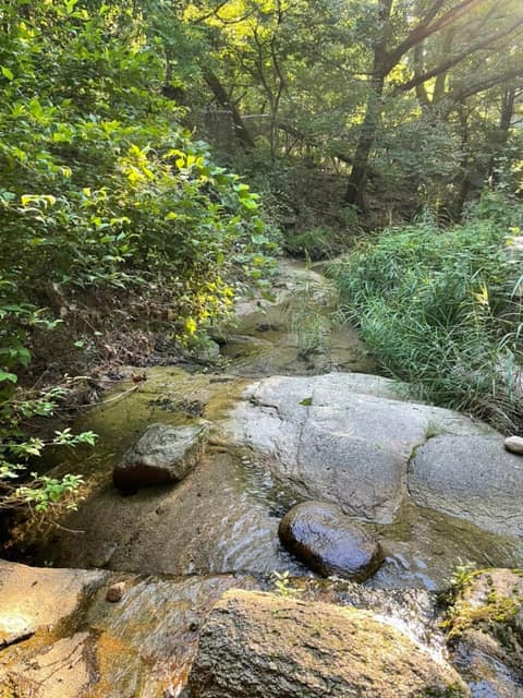 경기옛길경흥길1길(사패산길) 사진 1