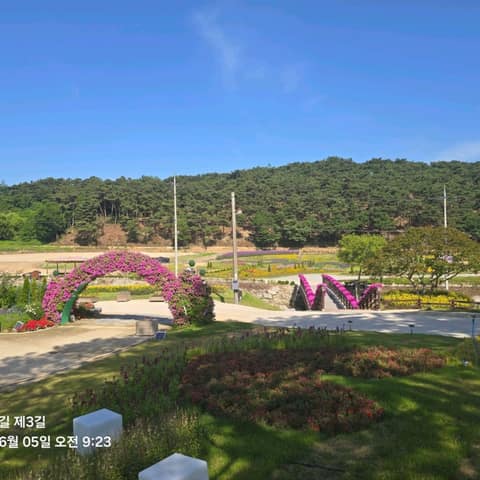 전북천리길고창읍성길 사진 7