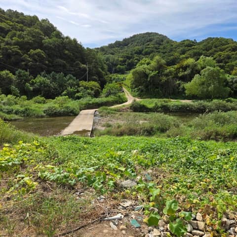 경기둘레길양평27코스 사진 1