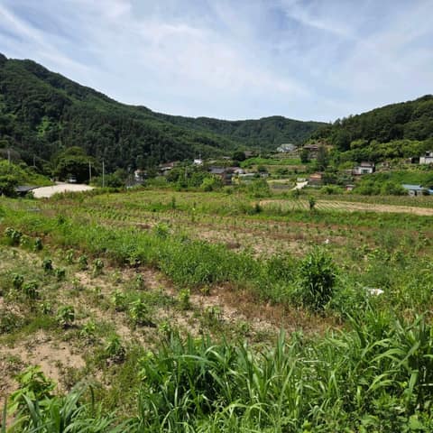 경기둘레길양평27코스 사진 6