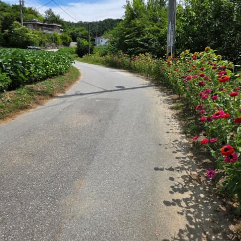 경기둘레길양평27코스 사진 9