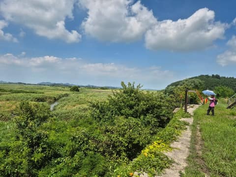 전북천리길새만금바람길 사진 2