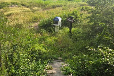 전북천리길새만금바람길 사진 5