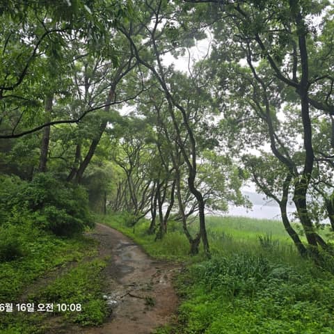 군산구불4길(구슬뫼길) 사진 2