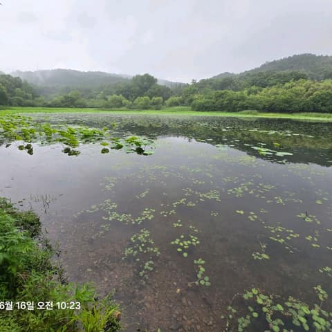군산구불4길(구슬뫼길) 사진 4