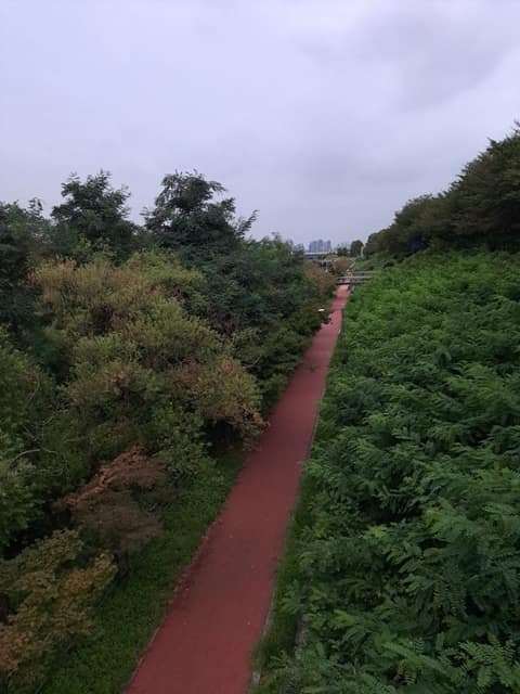 송파둘레길성내천길 사진 6