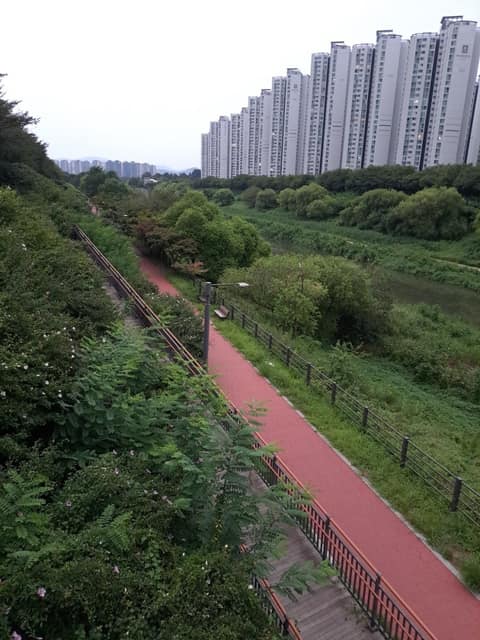 송파둘레길성내천길 사진 8