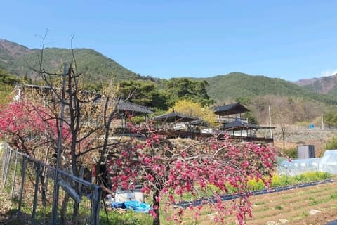 지리산둘레길인월-금계구간(삼신암경유) 사진 7