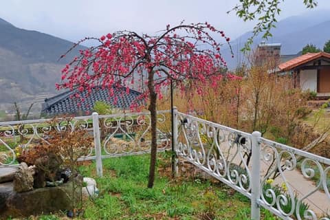지리산둘레길인월-금계구간(삼신암경유) 사진 9