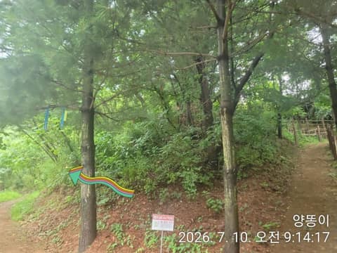원주굽이길4코스(꽃양귀비길) 사진 8