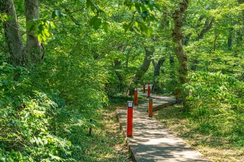 남파랑길39코스 사진 7