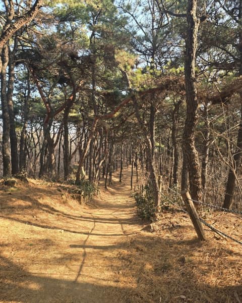 봉제산둘레길1코스 사진 1
