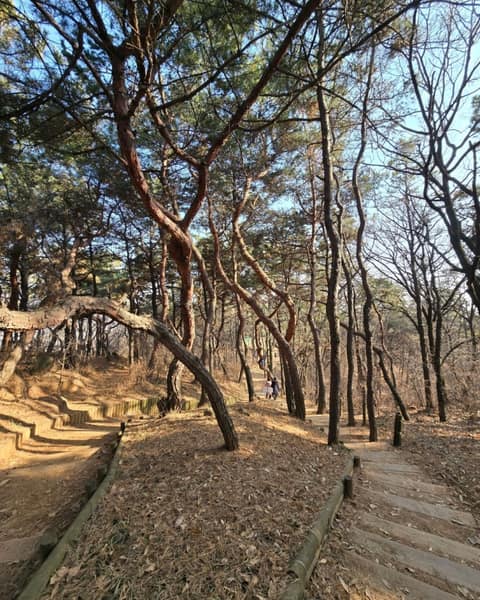 봉제산둘레길1코스 사진 3