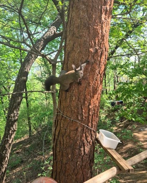 봉제산둘레길1코스 사진 7