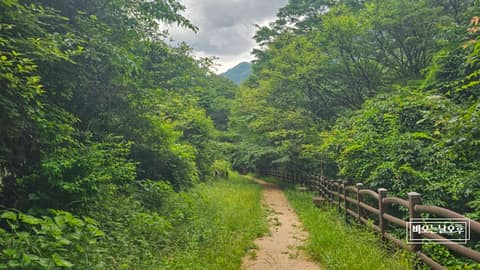 전북천리길고종시마실길 사진 8