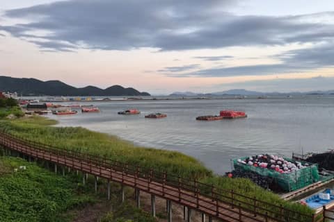 남도삼백리길1코스(순천만갈대길) 사진 1