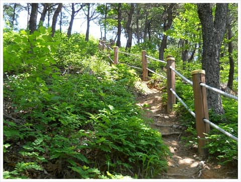 대전둘레산길11구간 사진 2