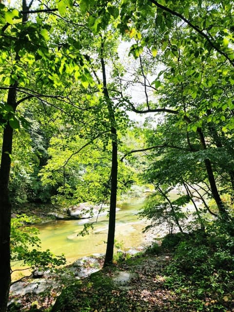 오대산선재길 사진 7