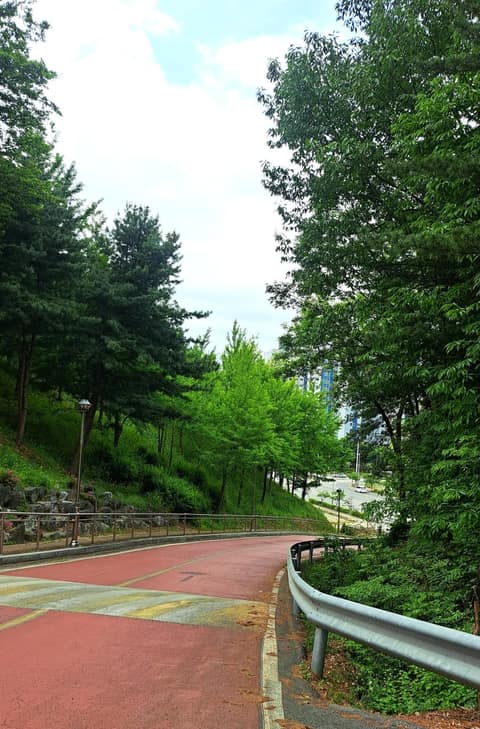 봄내길6코스(장학리노루목길) 사진 2
