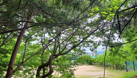 봄내길6코스(장학리노루목길) 사진 3