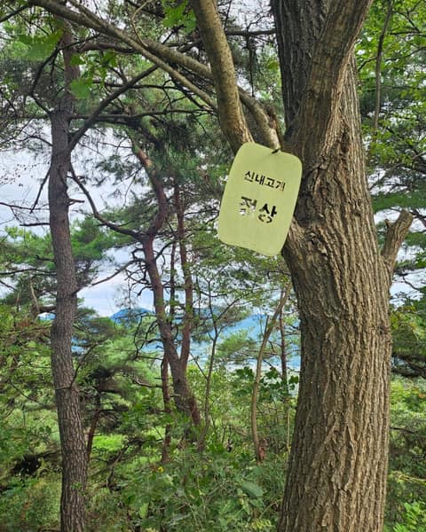 봄내길6코스(장학리노루목길) 사진 8