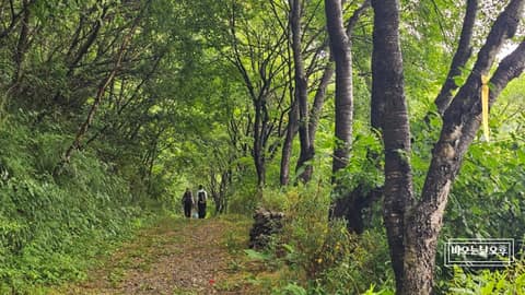 전북천리길금강변마실길2코스 사진 1