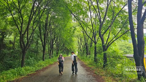 전북천리길금강변마실길2코스 사진 4