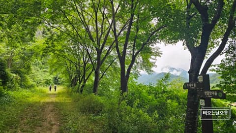 전북천리길금강변마실길2코스 사진 6