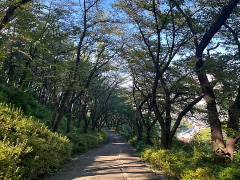 오랍드리산소길봉황산길 사진 1