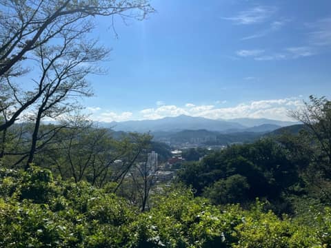 오랍드리산소길봉황산길 사진 3