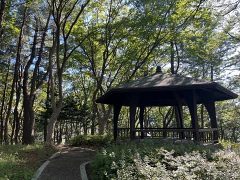 오랍드리산소길봉황산길 사진 5