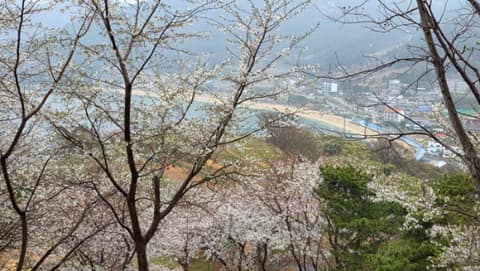 남파랑길22코스 사진 7
